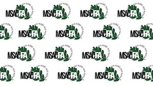 multiple FA logos displayed across a white background